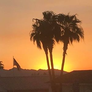 Meet your Posher, Marcella